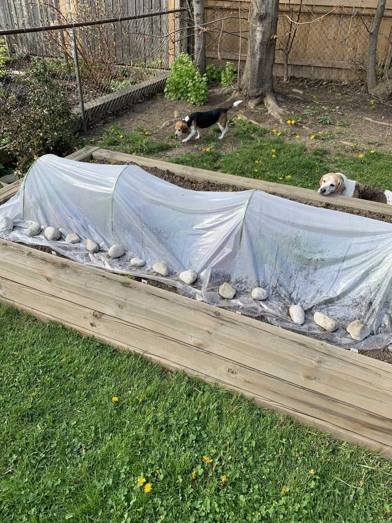 Frost Protection Planning