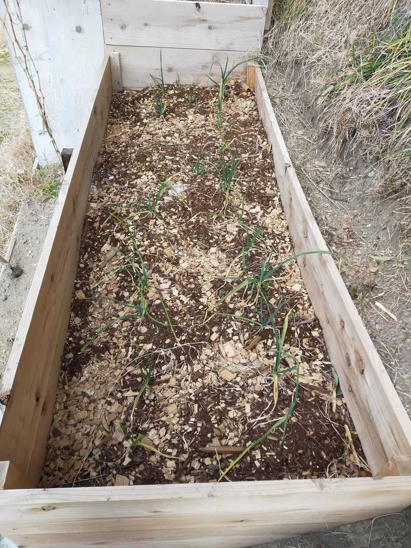 Winter Crop Preparation