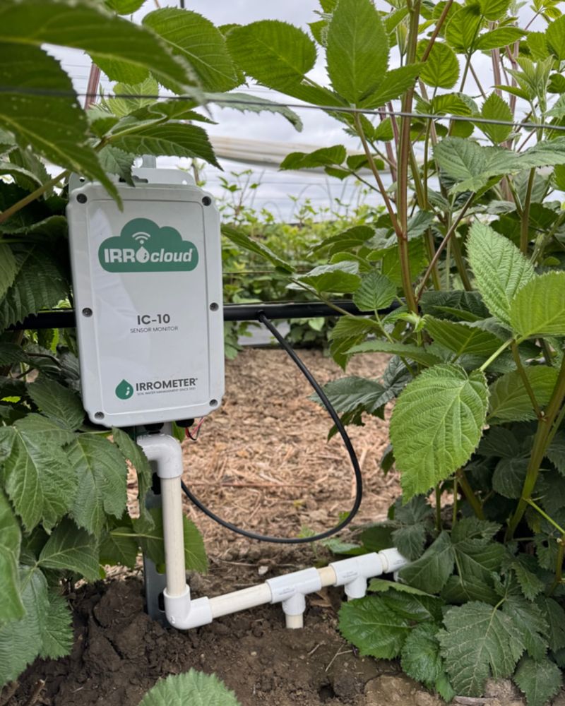 Smartphone Garden Management