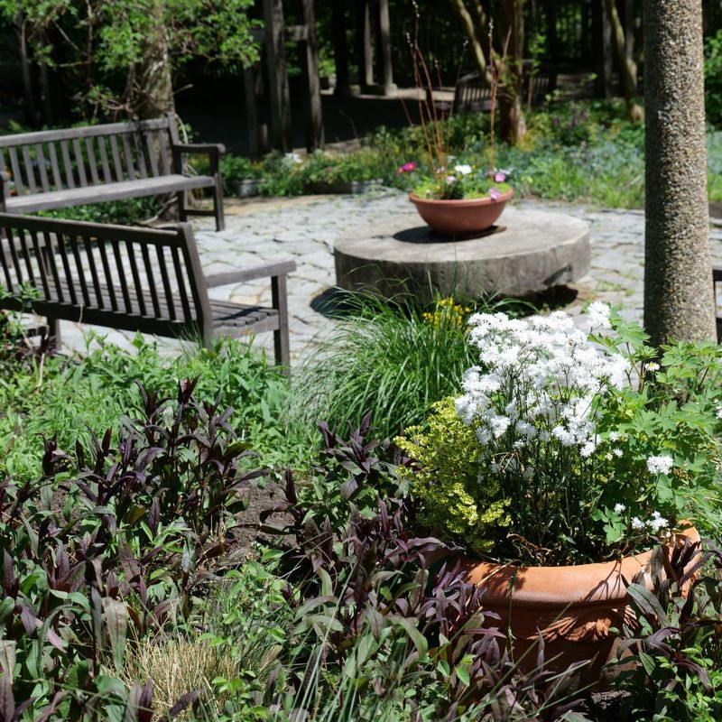 Garden Design Evaluation