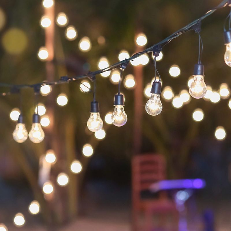 String Lights Draped Through Fruit Trees