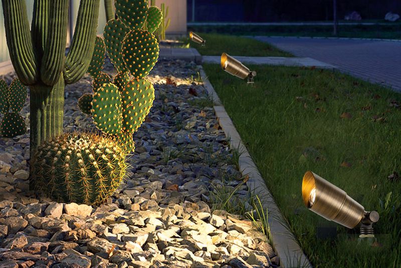 Cactus Garden Spotlights