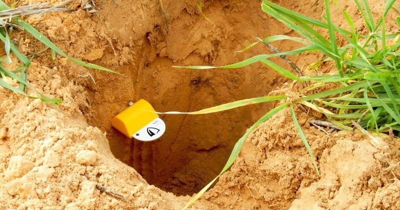Underground Moisture Sensors Network