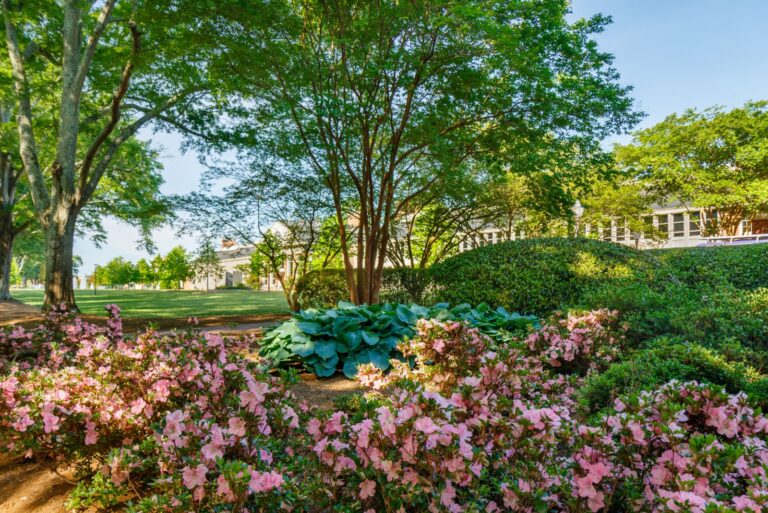 greenville south carolina