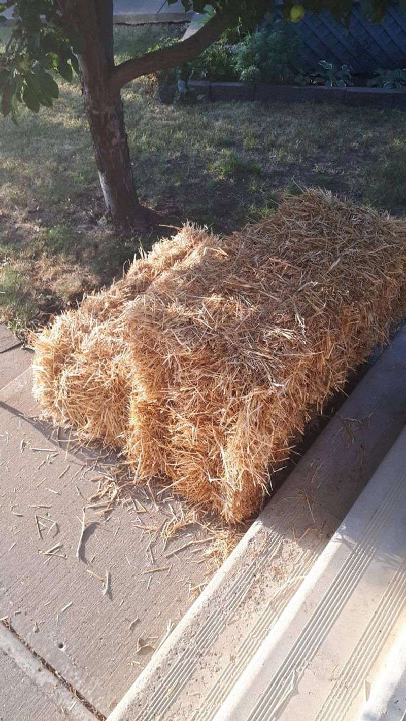 Add Mulch Layer