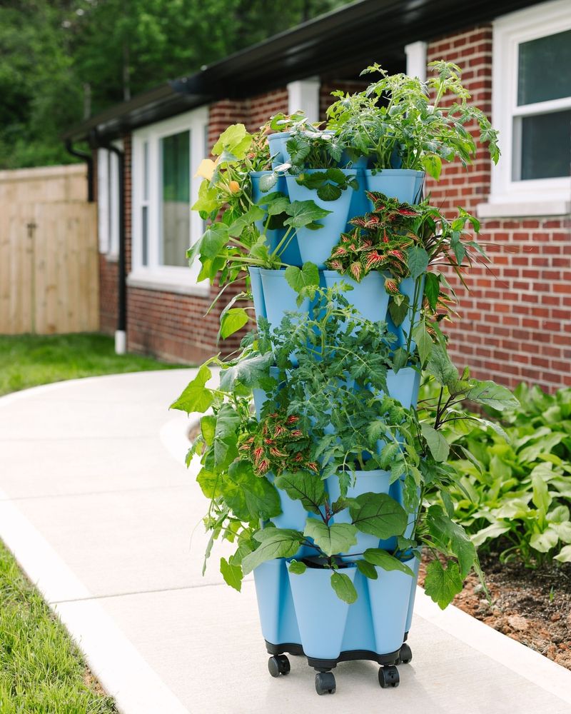 Water Conservation During Summer Drought Periods