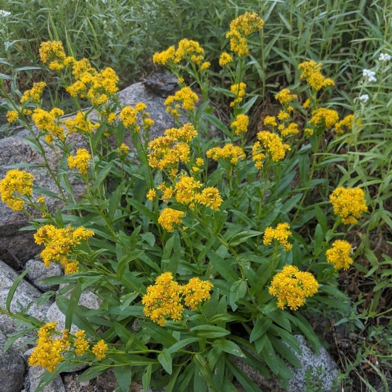 Soil Strategies That Support Growth