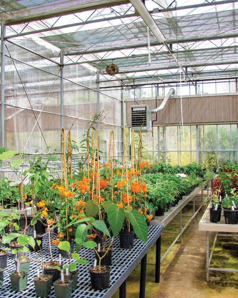 Innovative Conservation Nursery