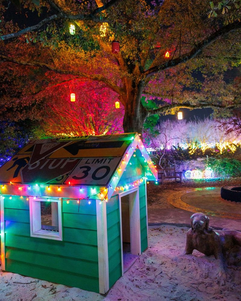 Family-Friendly My Big Backyard