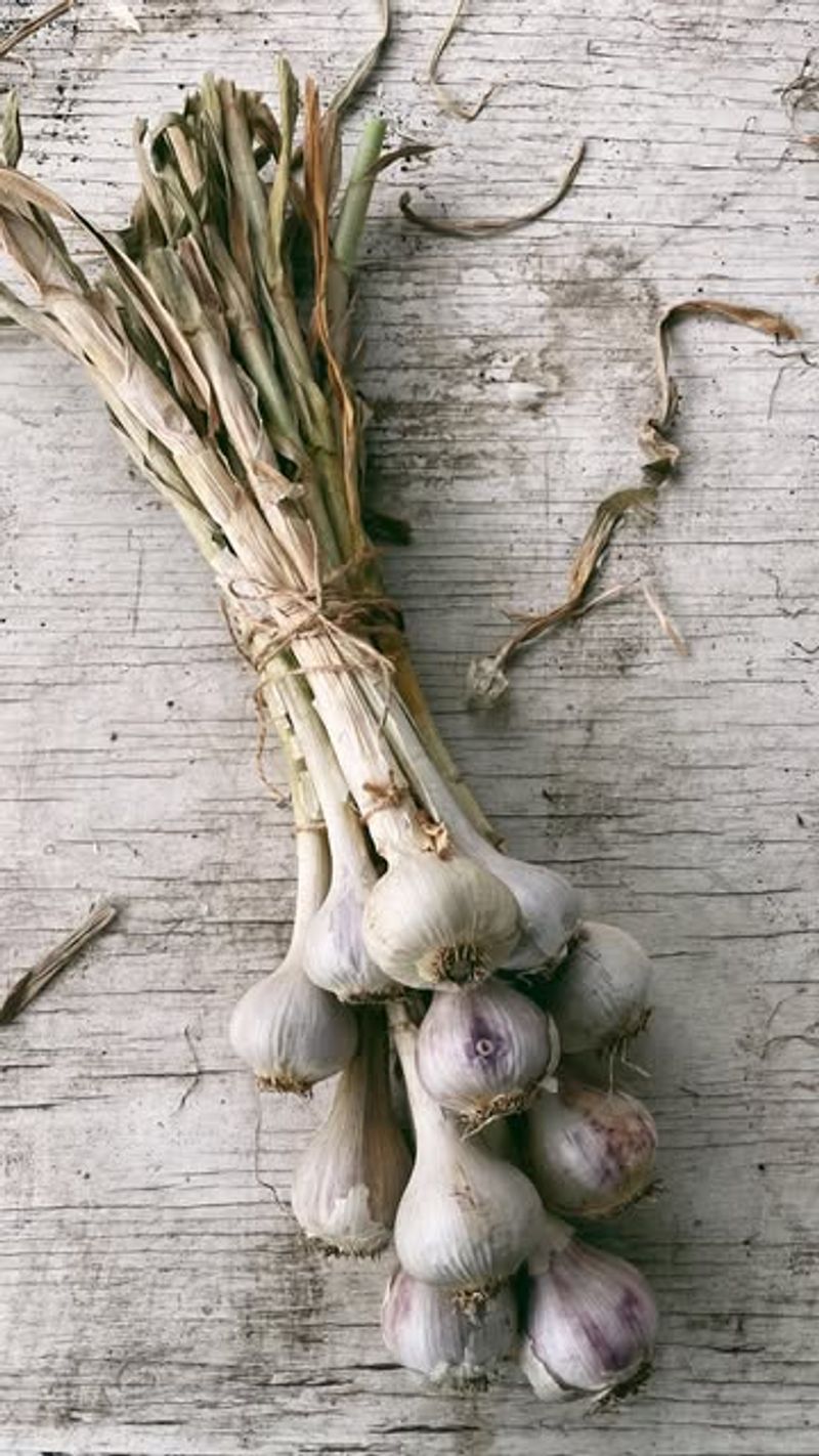 Garlic Cloves