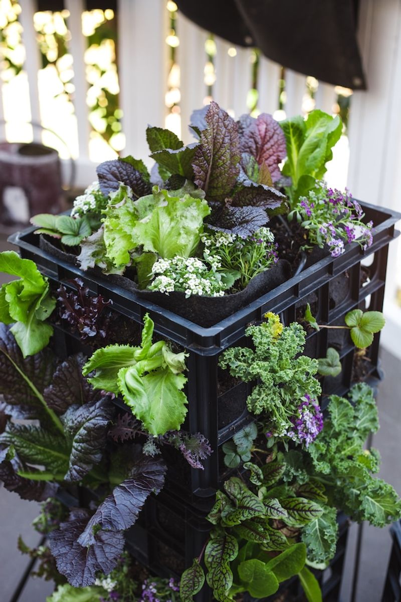 Milk Crate Urban Farms