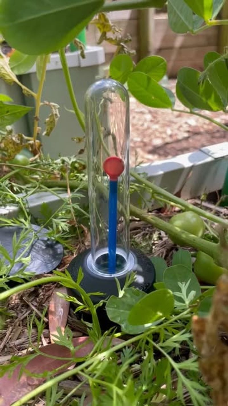 Wicking Beds Conserve Water