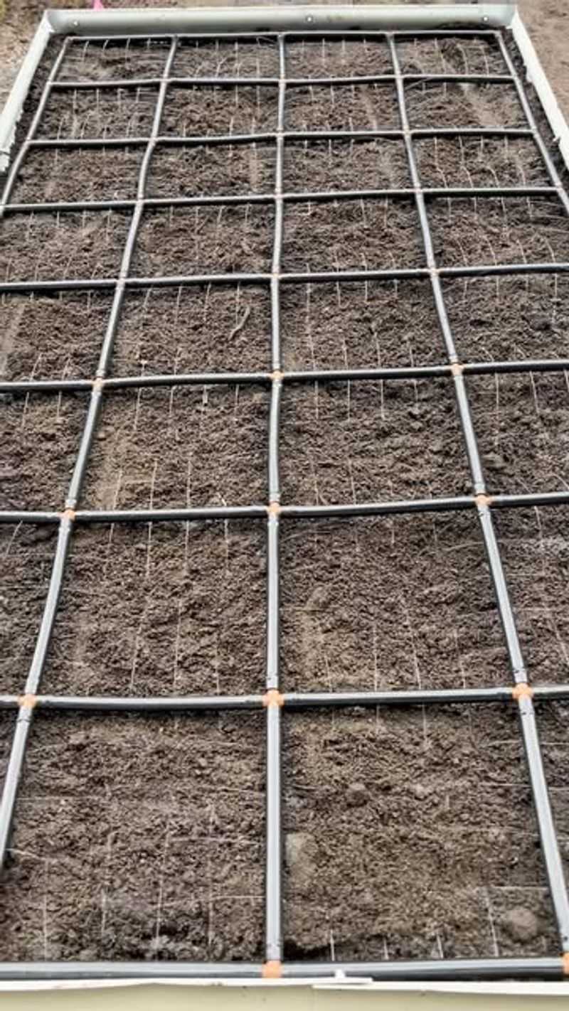Grid-Pattern Vegetable Bed System