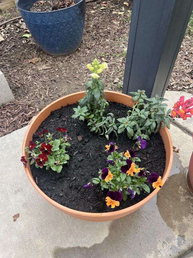 Container Borders