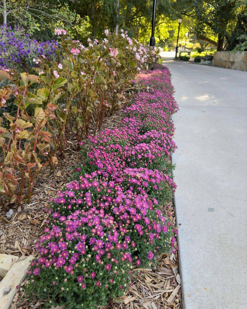 Late Summer Advantage