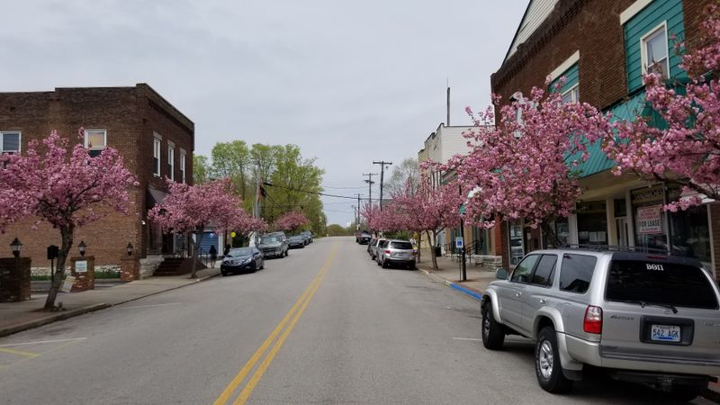 Wilmore's Sunflower And Magnolia Festival