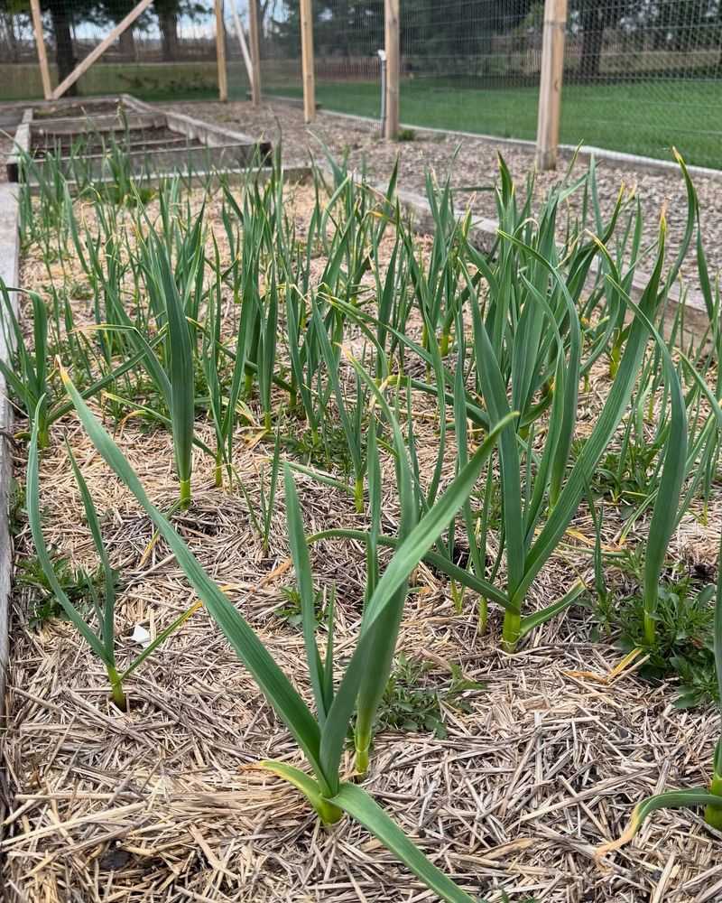 Prepare For Summer Water Needs