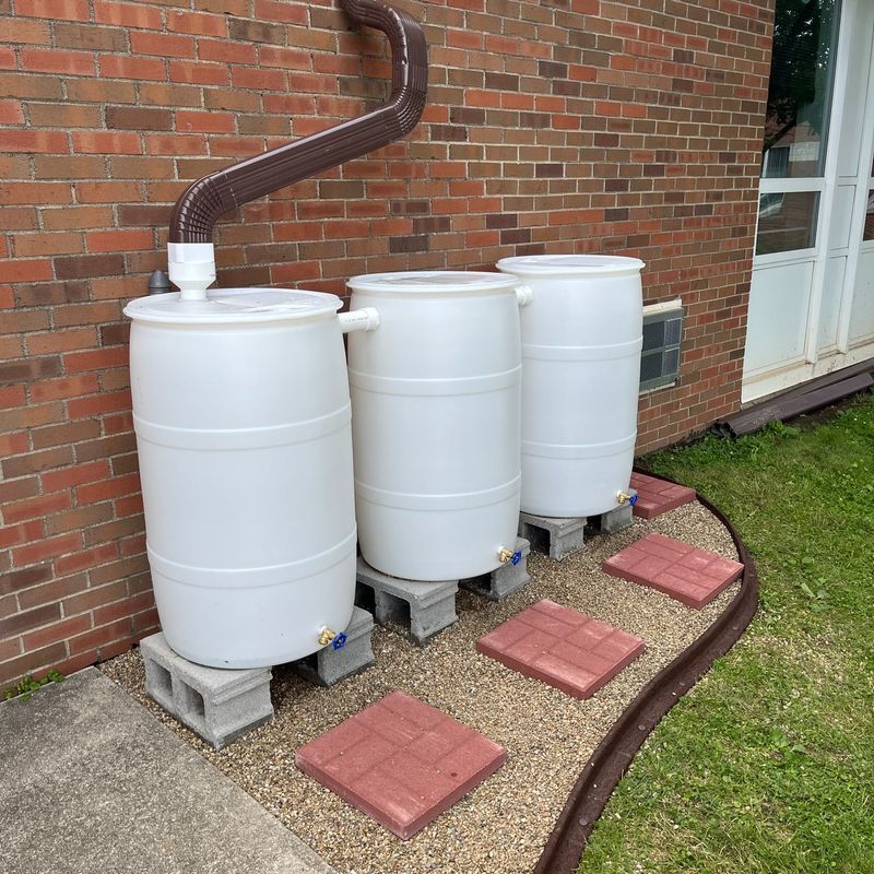 Collect Rainwater