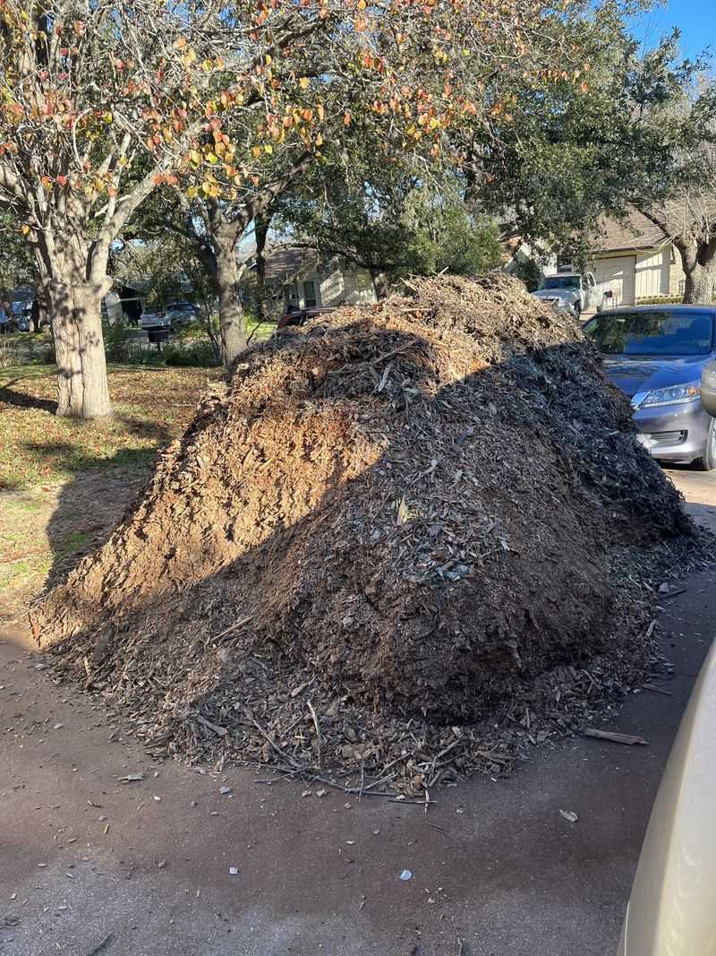Collect Free Mulch From Tree Services