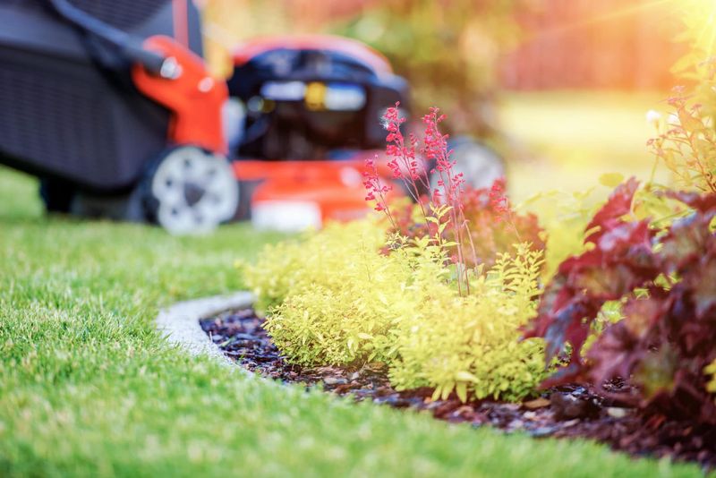 Budget For Seasonal Maintenance