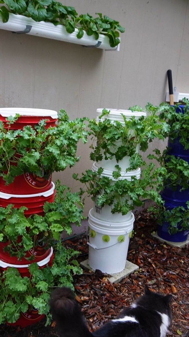 Tiered Bucket Tower