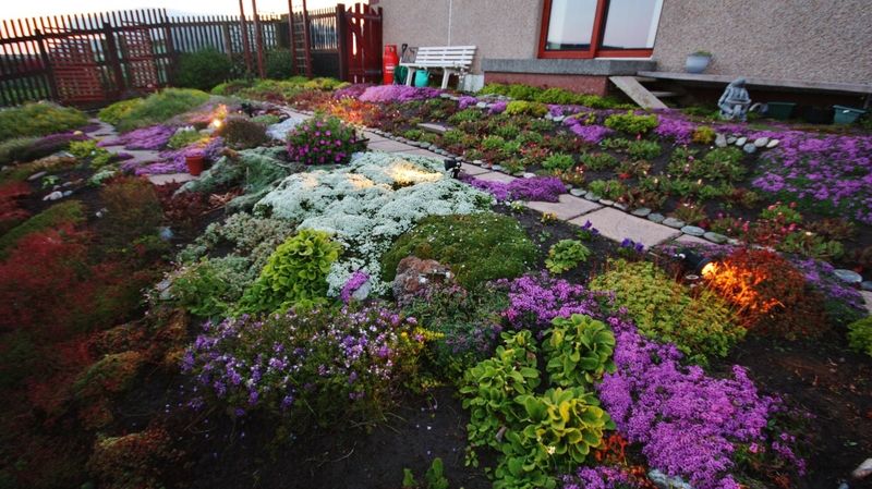 Luminous Shell Mulch Beds