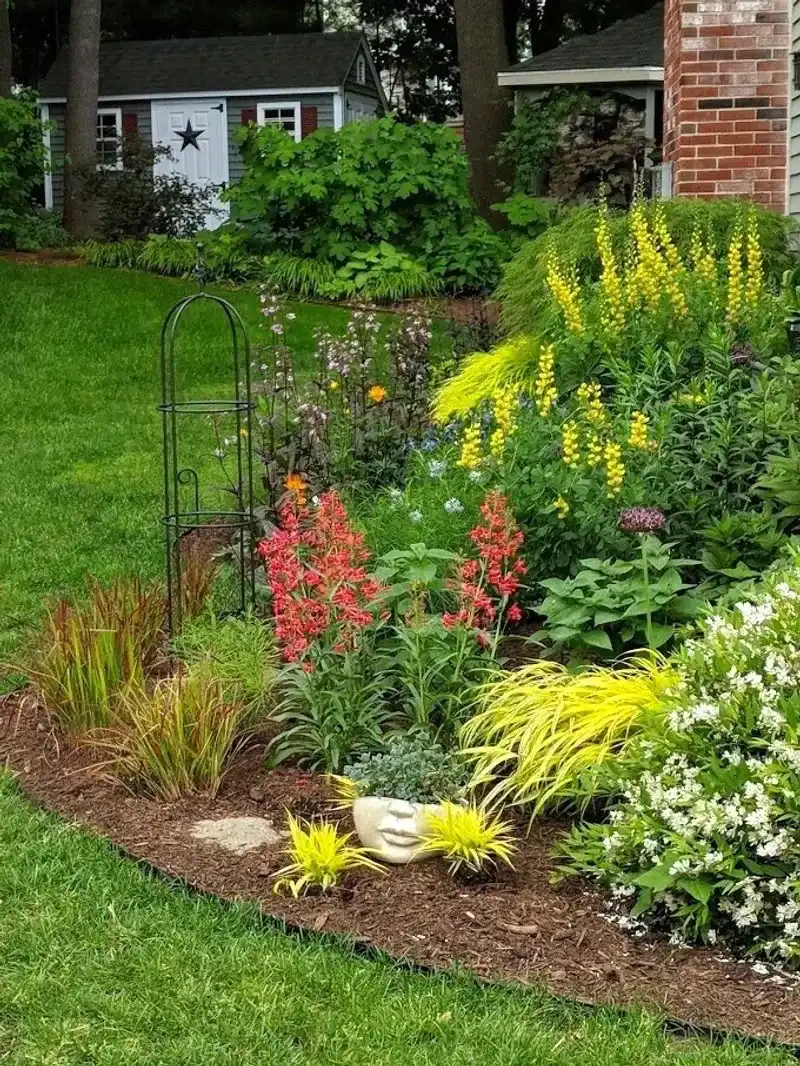 Morning Shade Meadow Mix