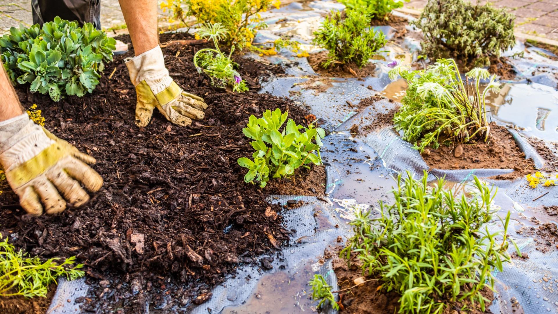 Stop Doing This To Your Mulch In West Virginia