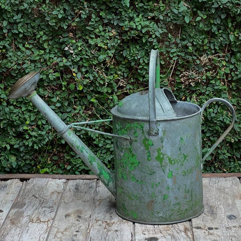 Water With Metal Watering Cans