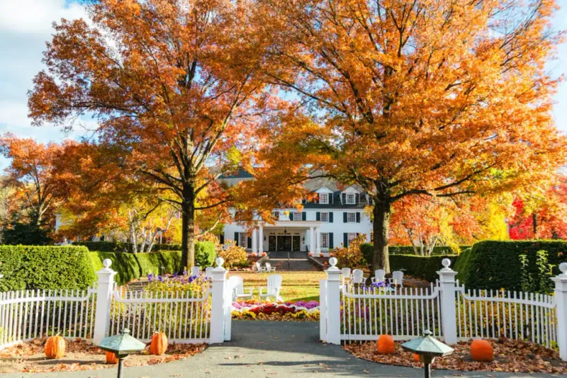 Woodstock's Hidden Maple Gardens