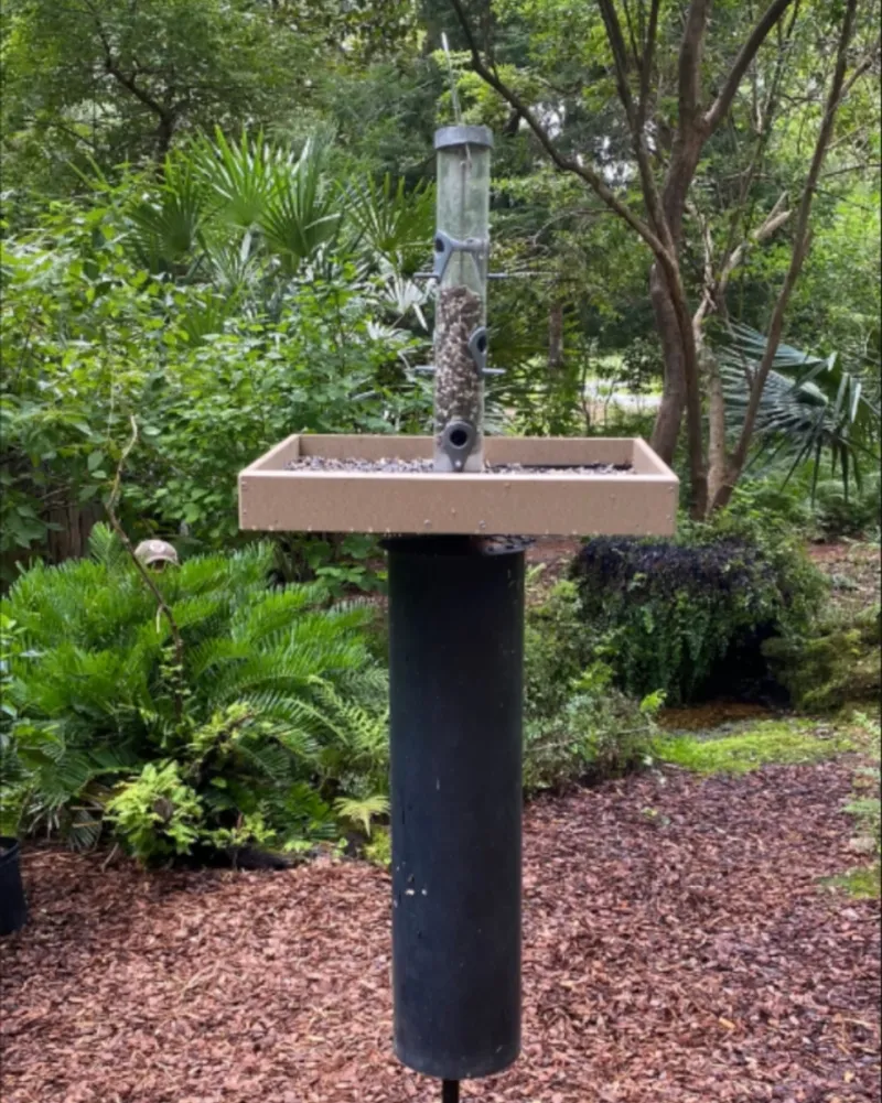 Pole-Mounted Feeders With Proper Clearance