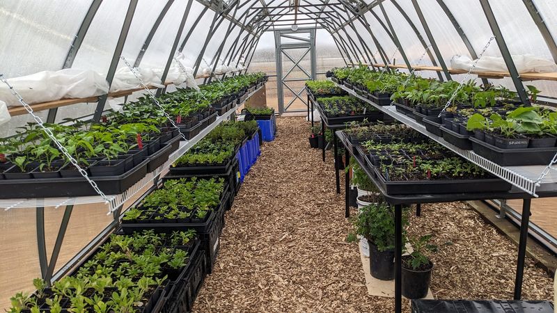 Temperature Control Solutions