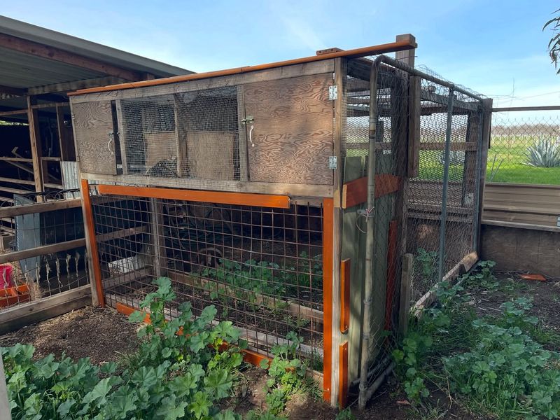 Livestock-Garden Combinations