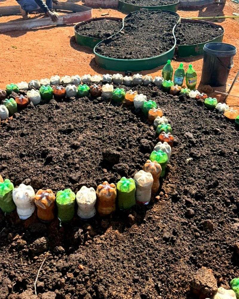Plastic Bottle Brilliance