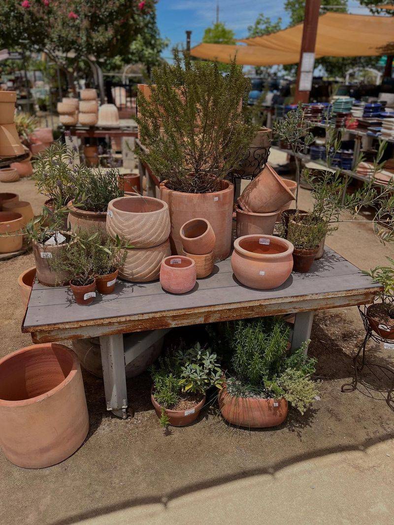 Mediterranean Herb Garden