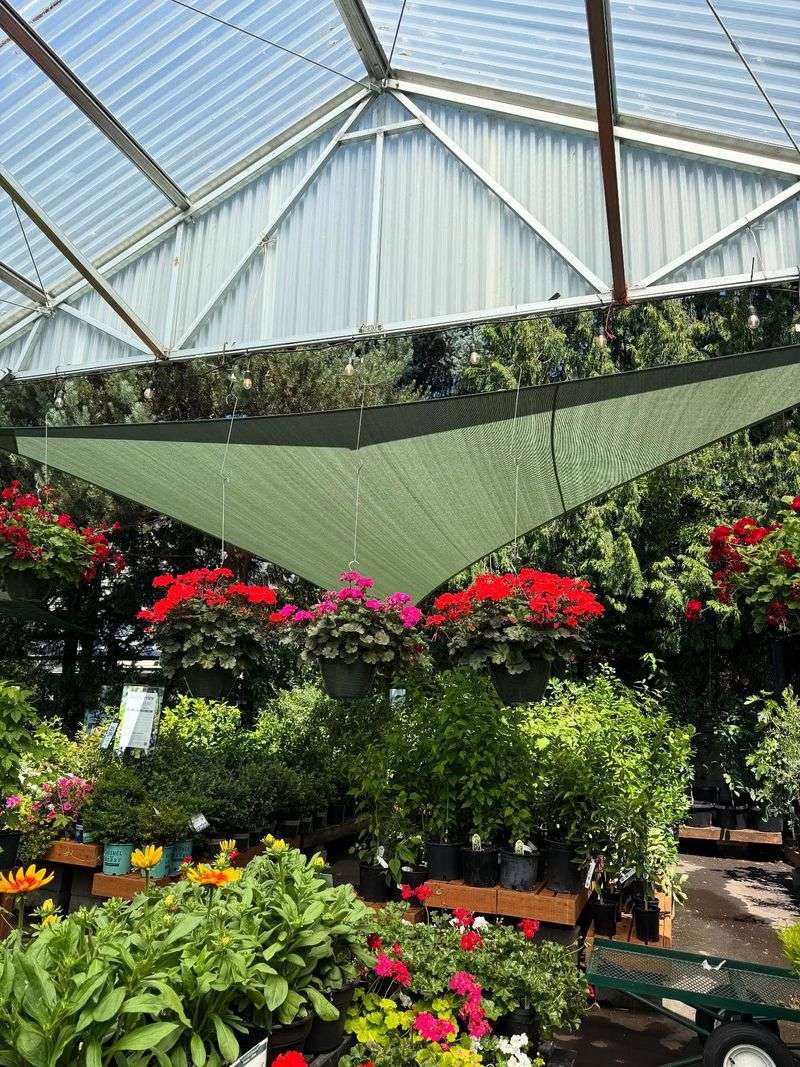 Shade Sail Forest