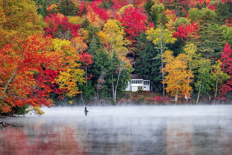 Woodstock's Riverside Maple Display