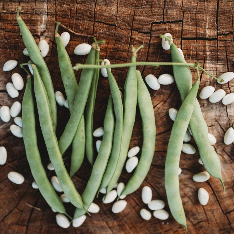 Heirloom Bean Selections
