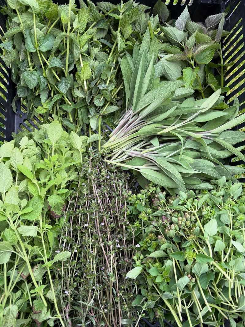 Fragrant Herb Bundles