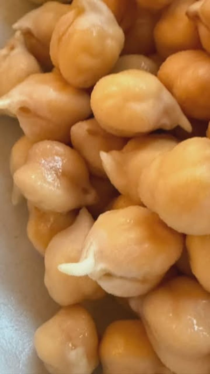 Chickpea Sprouts