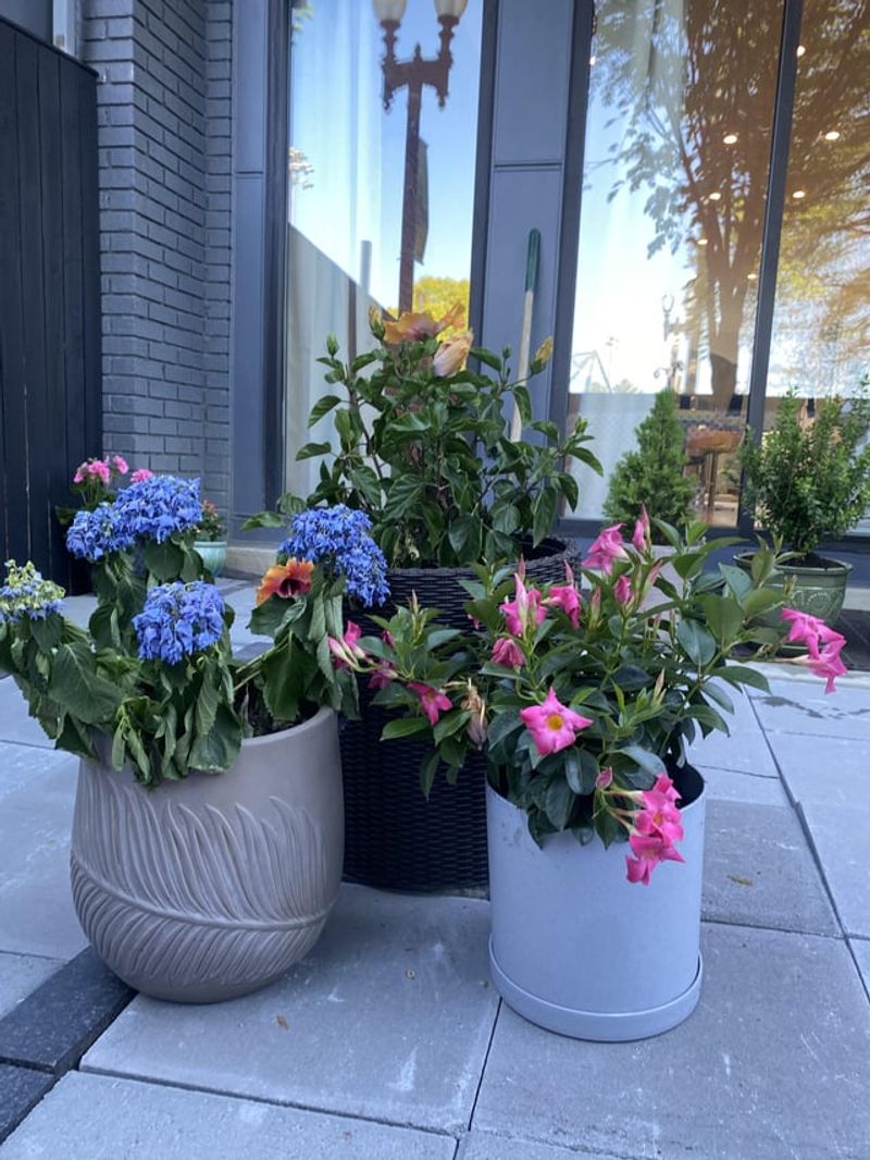 Container Garden Moisture Management
