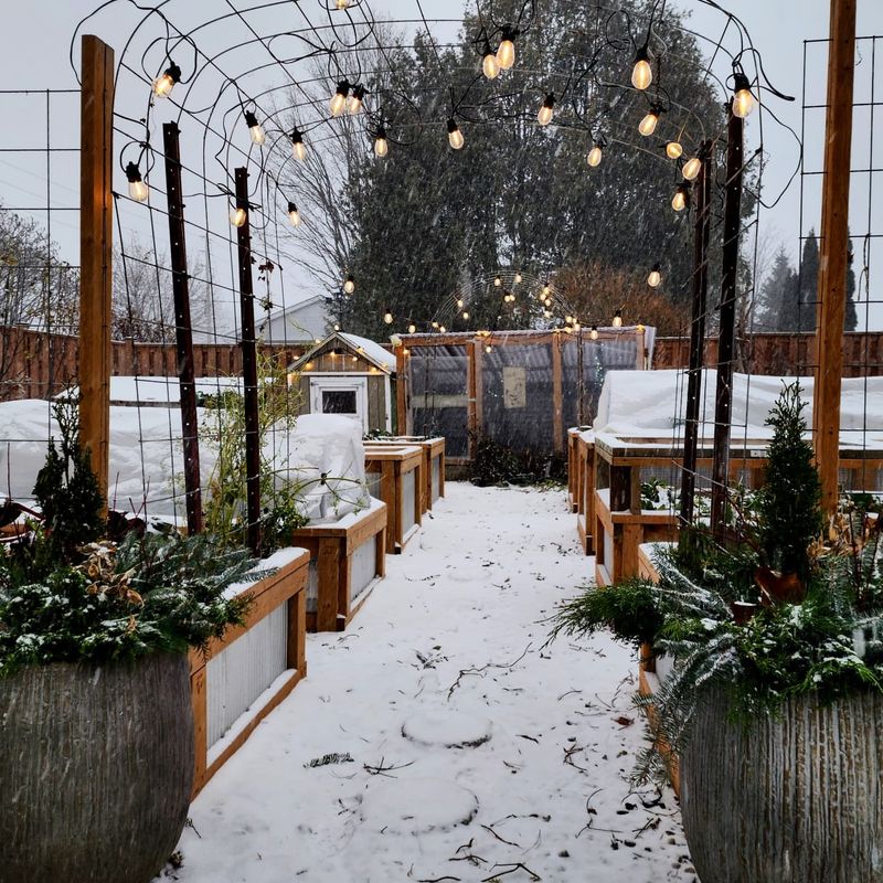 Weather-Resistant Decorations For Harsh Winters