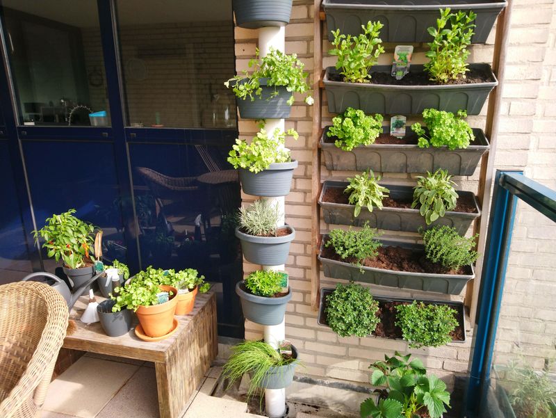 Grow High-Value Crops