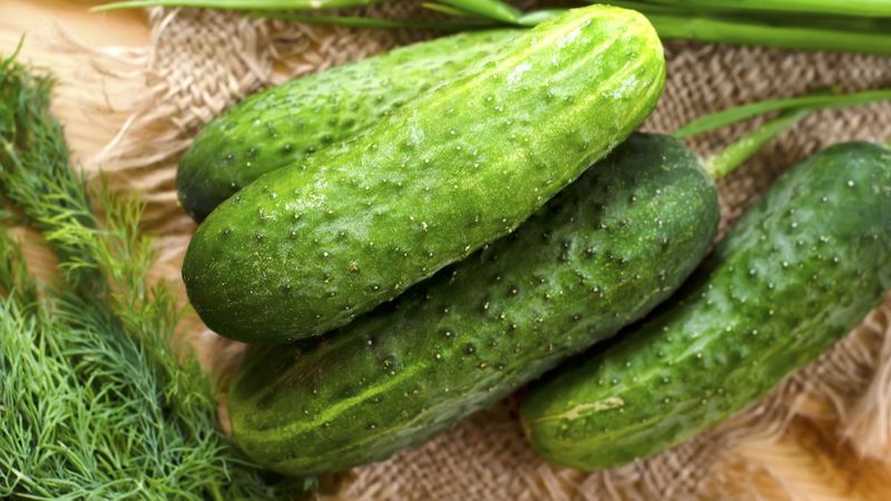 Pickle-Perfect Cucumbers From Natural Pest Management