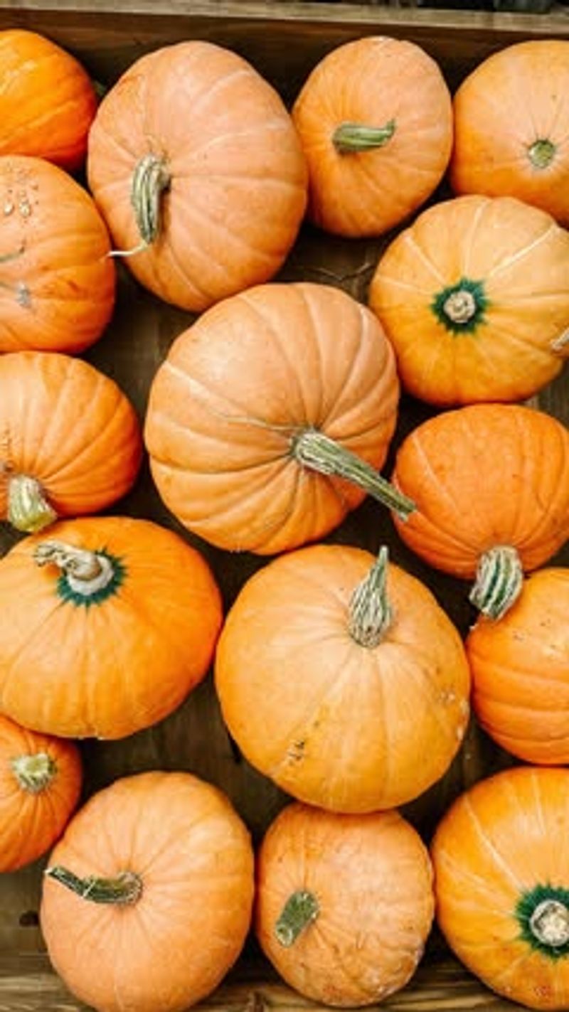 Golden Nugget Squash