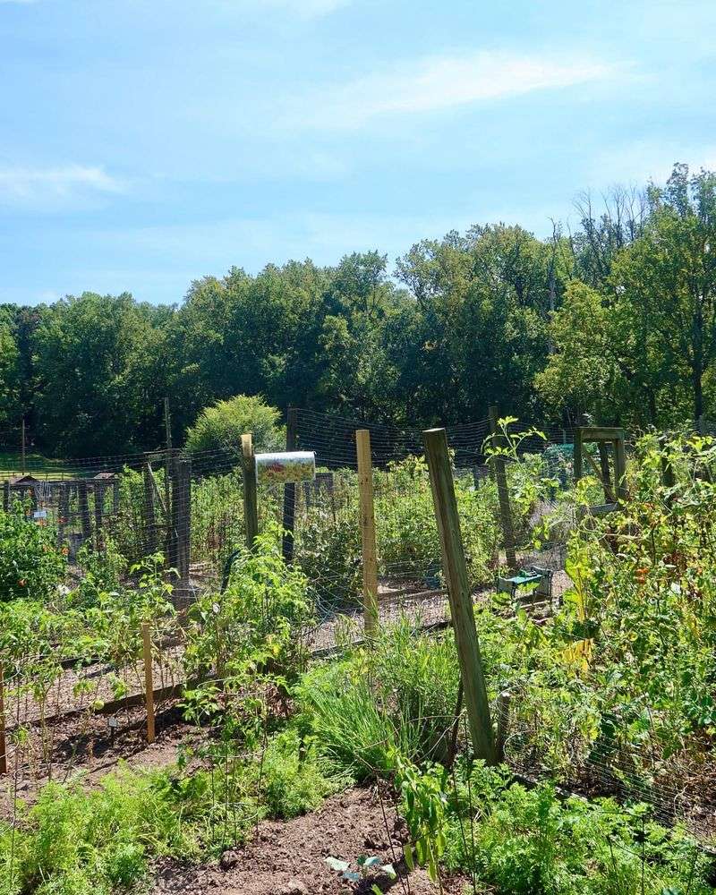 Form Neighborhood Soil-Building Cooperatives