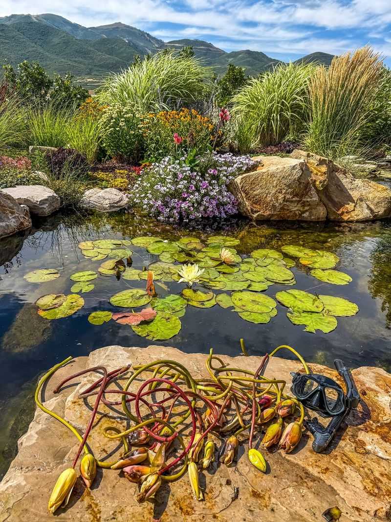 Plant A Living Water Filter System