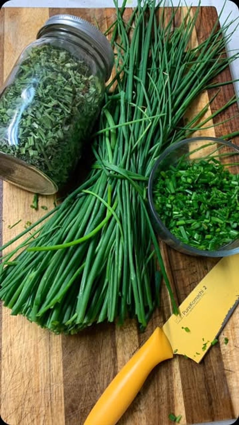 Chives