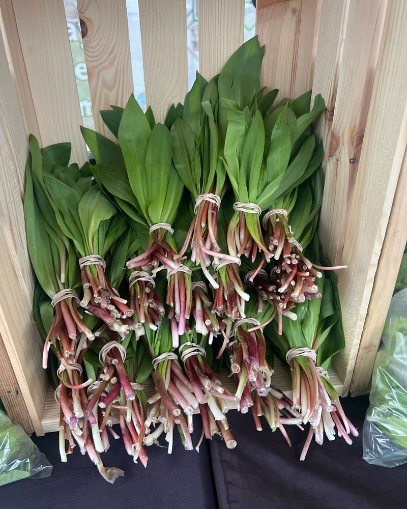 Ramps
