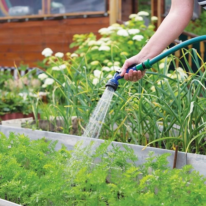 Hand Watering Meditation